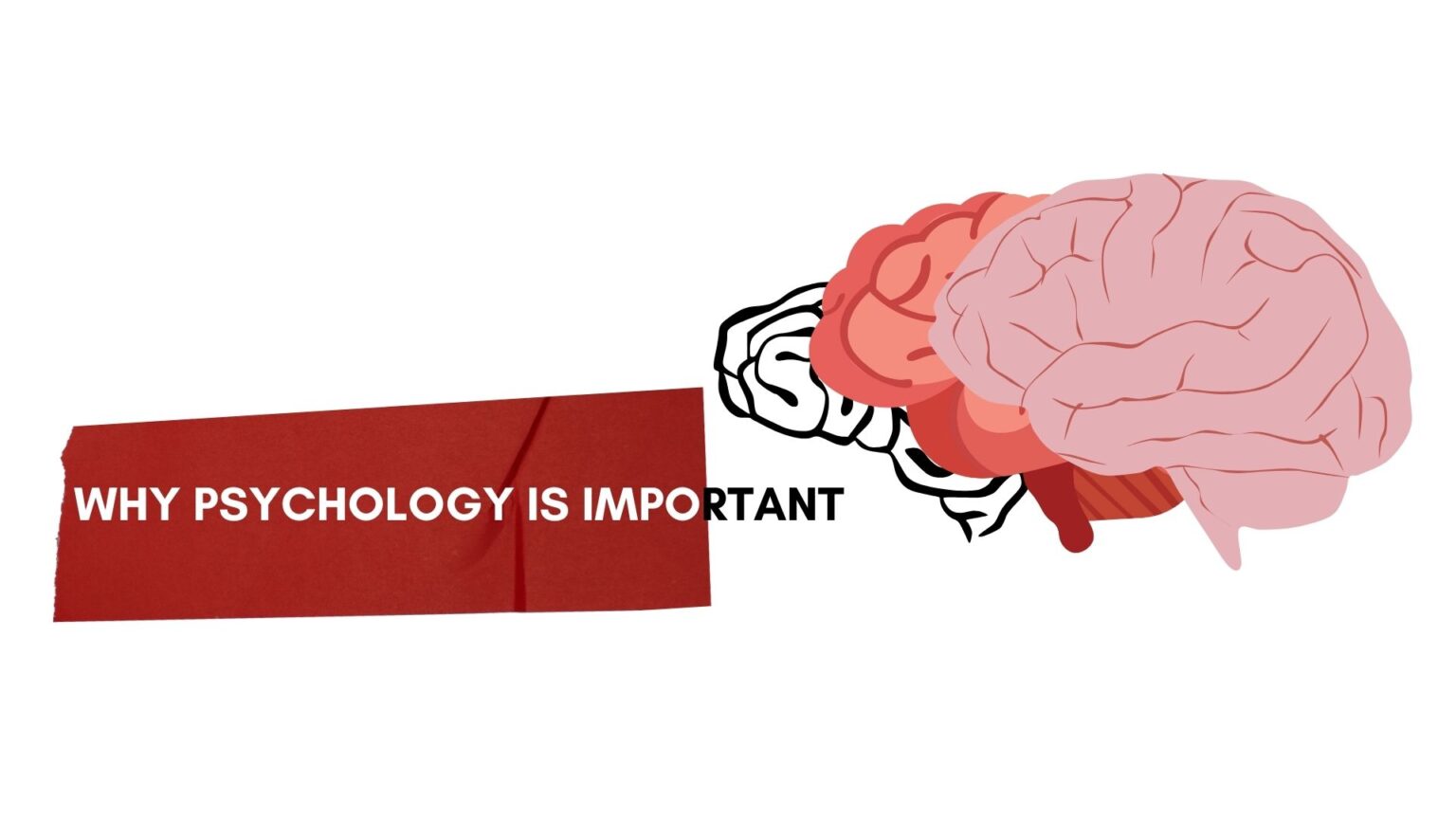 why-psychology-is-important-psychologus